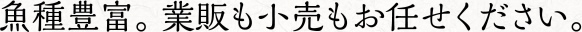 魚種豊富。業販も小売もお任せください。